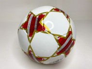 мяч футбольный (100)