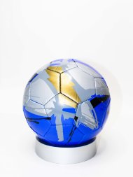 мяч футбольный (60)