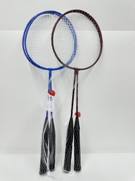 Бадминтон железный (50)