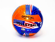 мяч волейбол (60)