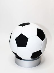 мяч футбольный (60)